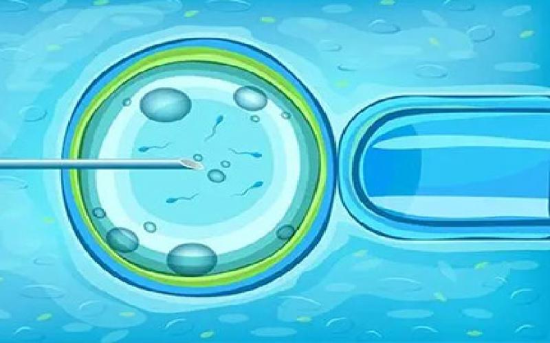 江苏试管保胎代生